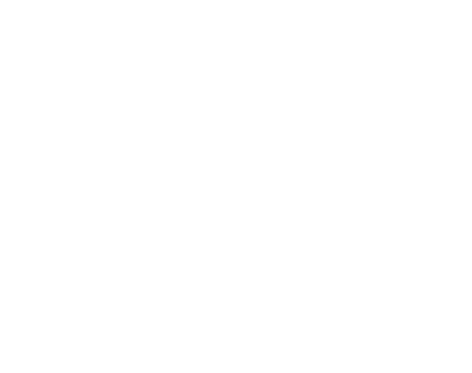 Christ the King Black Hawk logo
